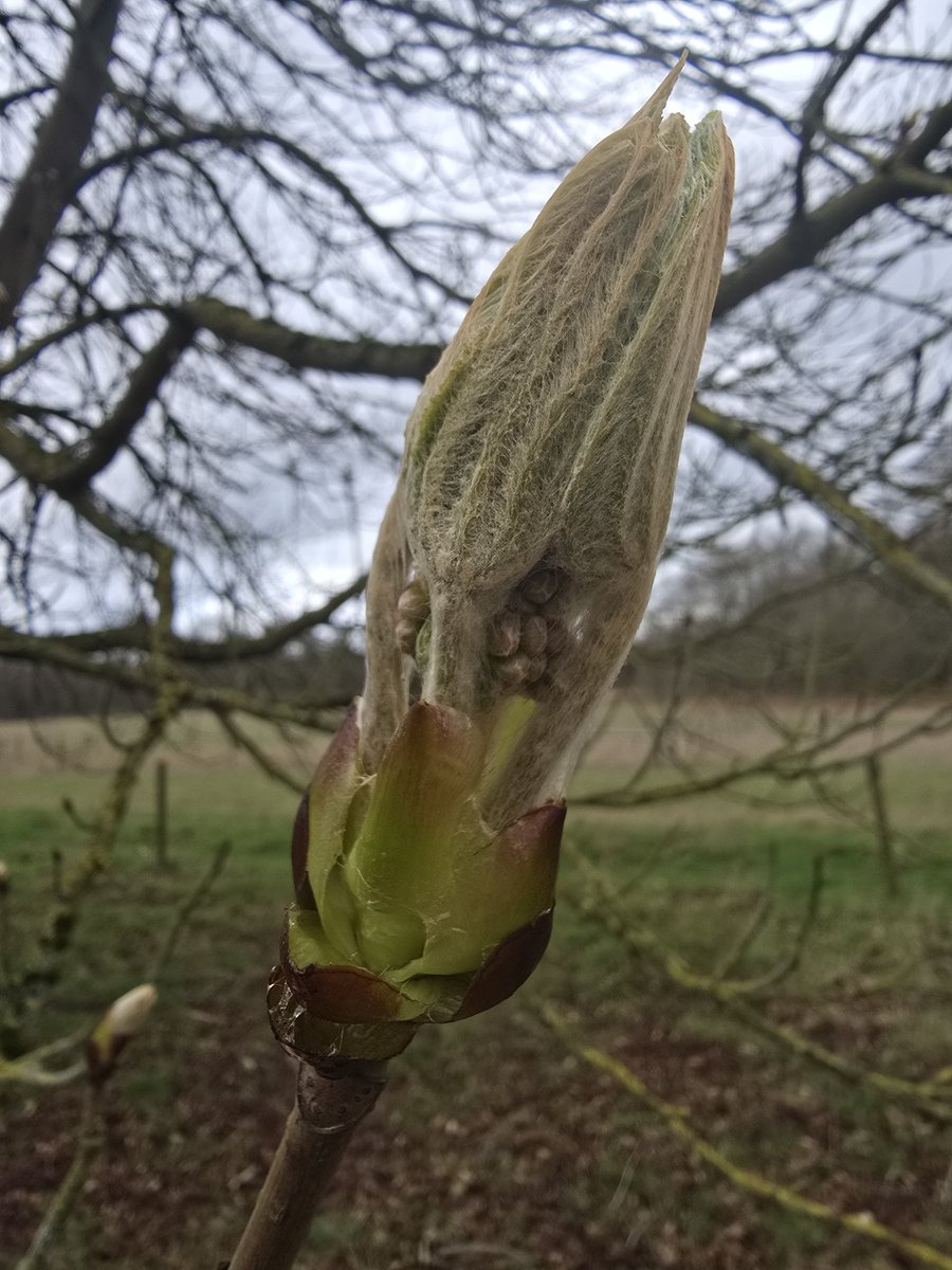 #WeDoGrass Ian tweet media