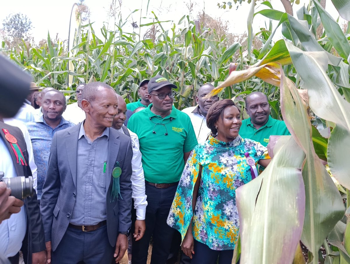 Simlaw Seeds Co. Ltd tweet media