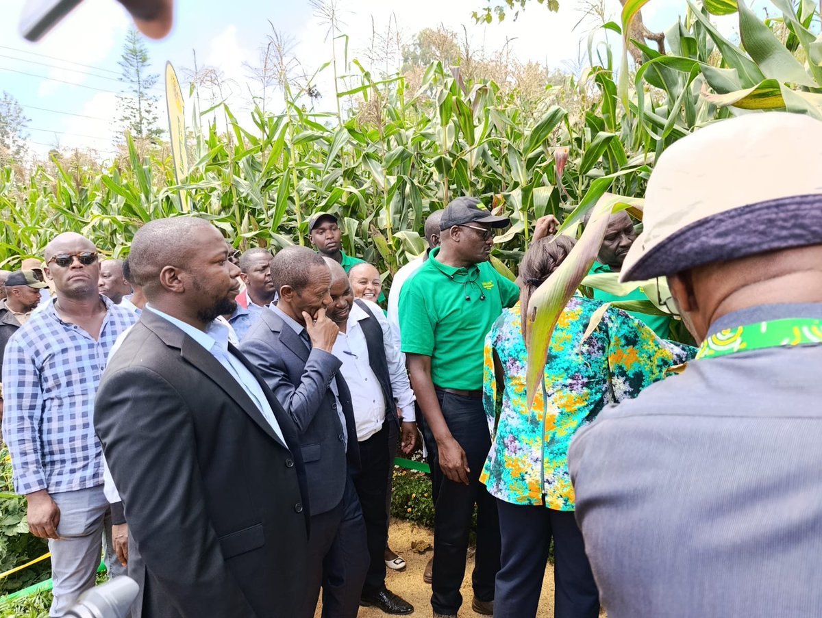 Simlaw Seeds Co. Ltd tweet media