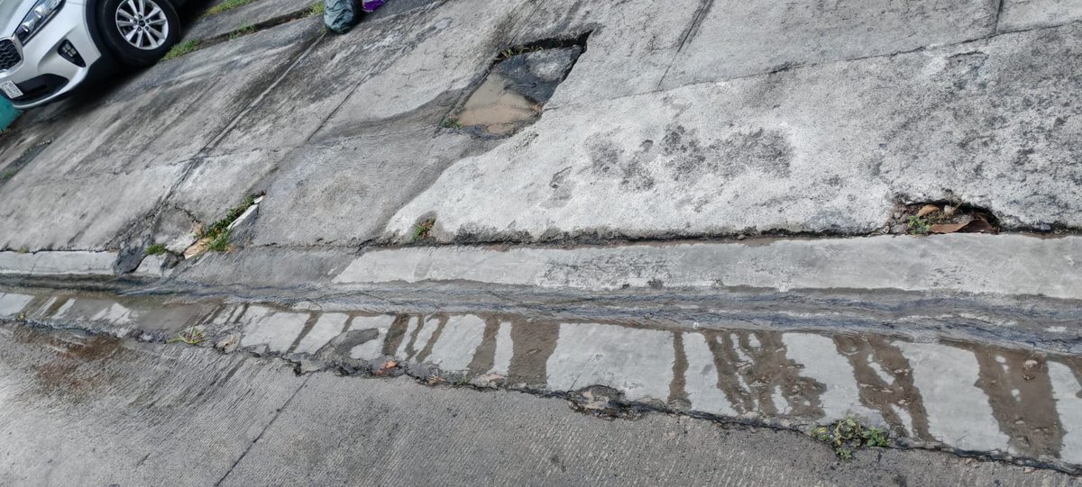 Ivan Escalante tweet media