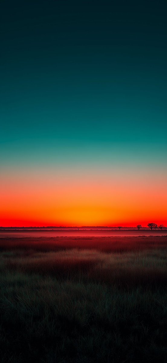 Pictures tweet media