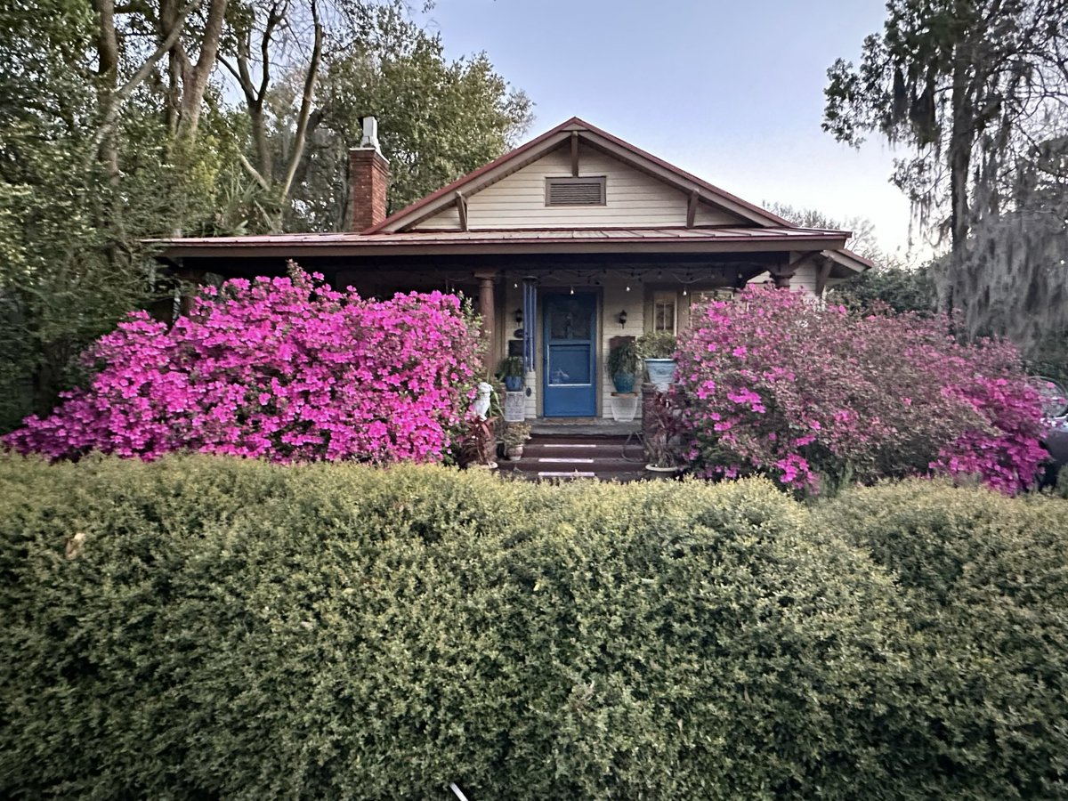 Patrick Skinner tweet media