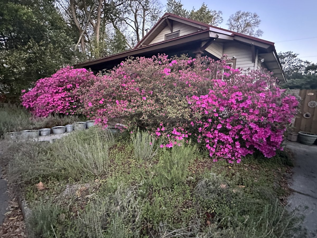 Patrick Skinner tweet media