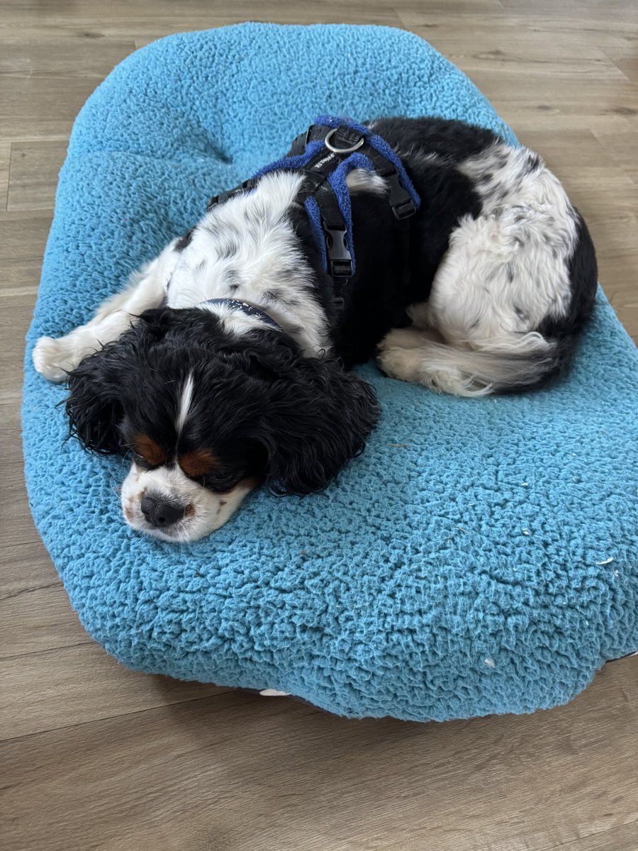 Lenny Cav tweet media