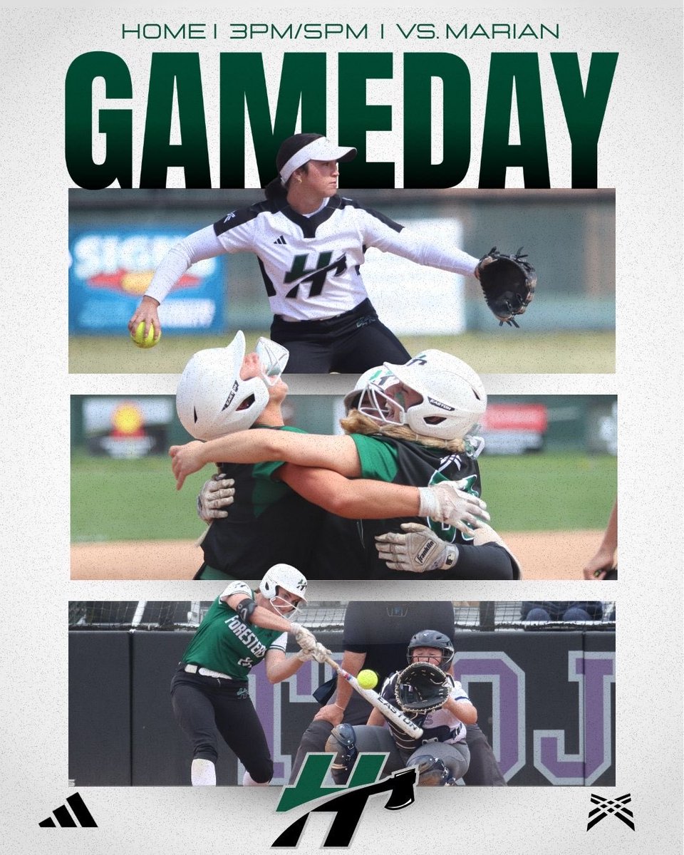 Huntington Softball tweet media