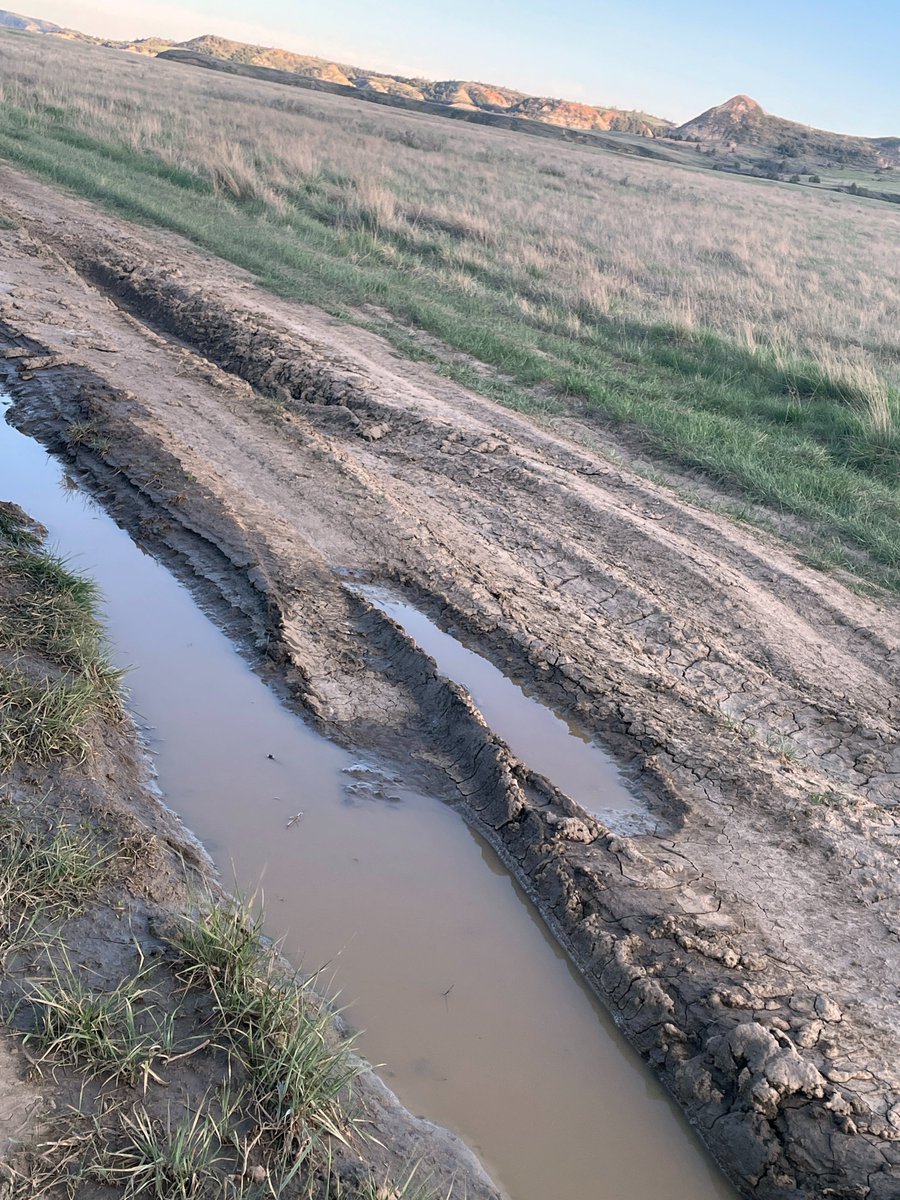 Dakota Prairie Grasslands tweet media