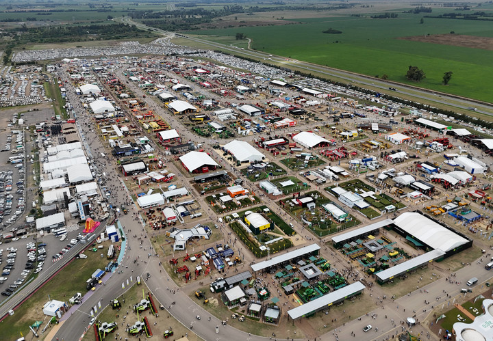 Diego Bossio tweet media