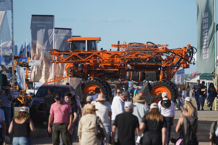 Diego Bossio tweet media