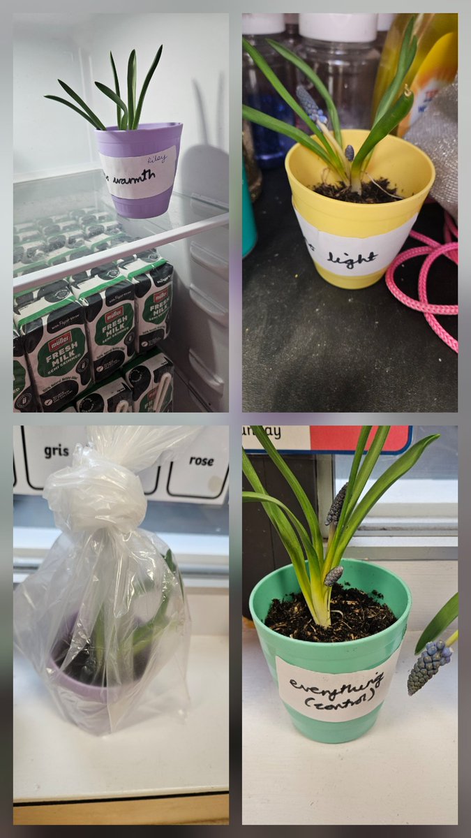 Year 3 Ordsall Primary School tweet media