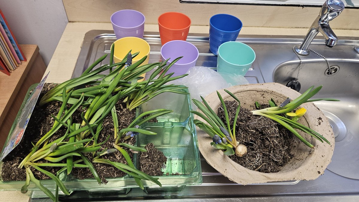 Year 3 Ordsall Primary School tweet media