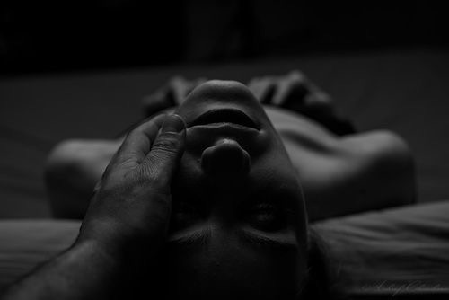 eglantine tweet media