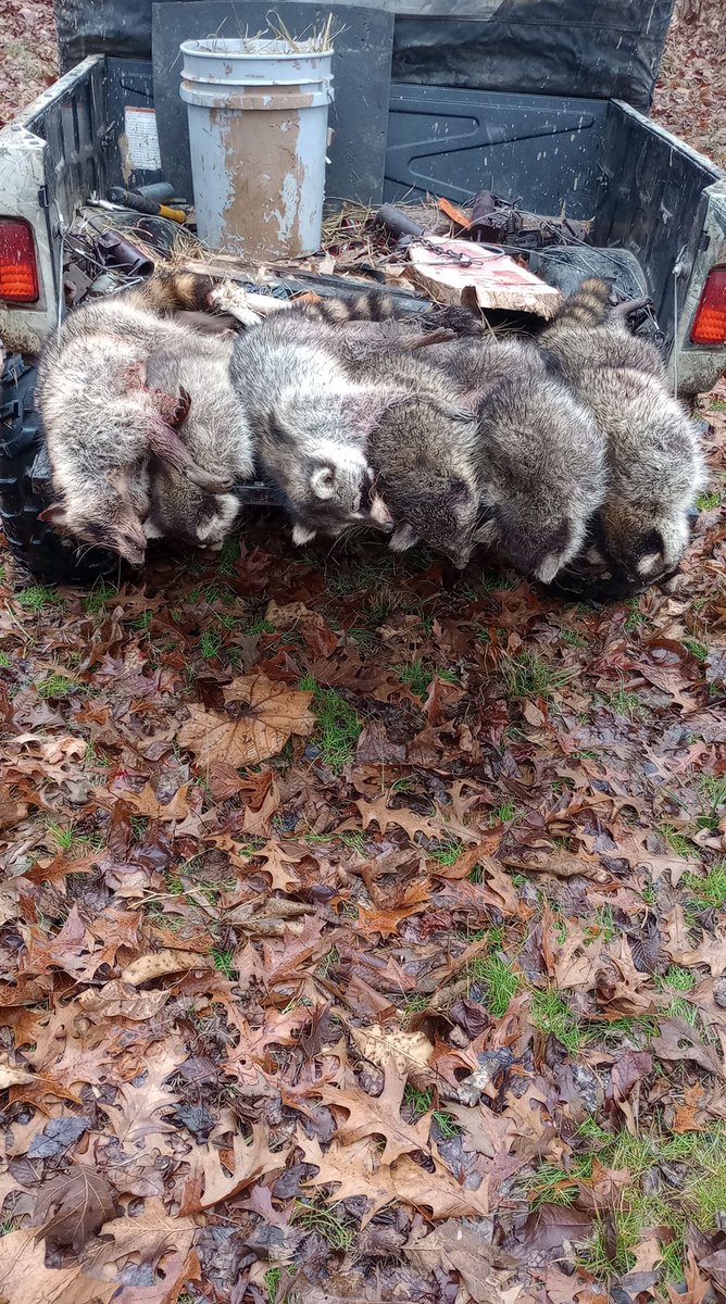 The Trapper tweet media