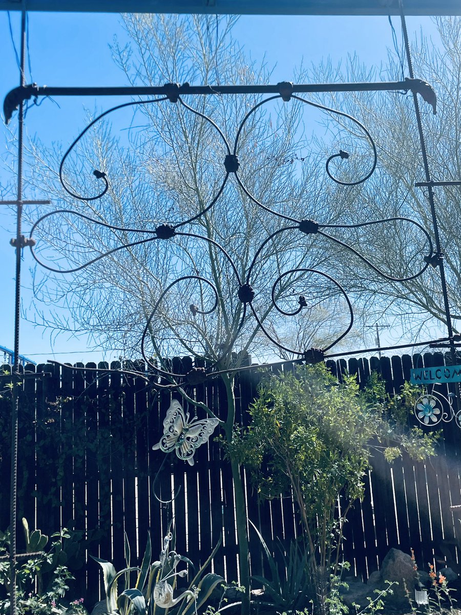 Doug Armato tweet media