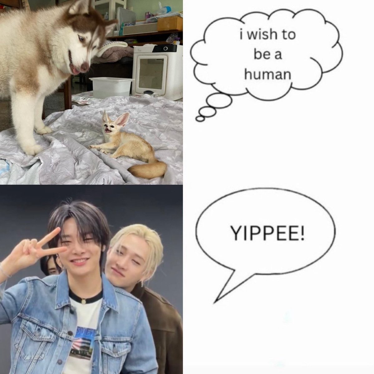 jeongchan pics! tweet media