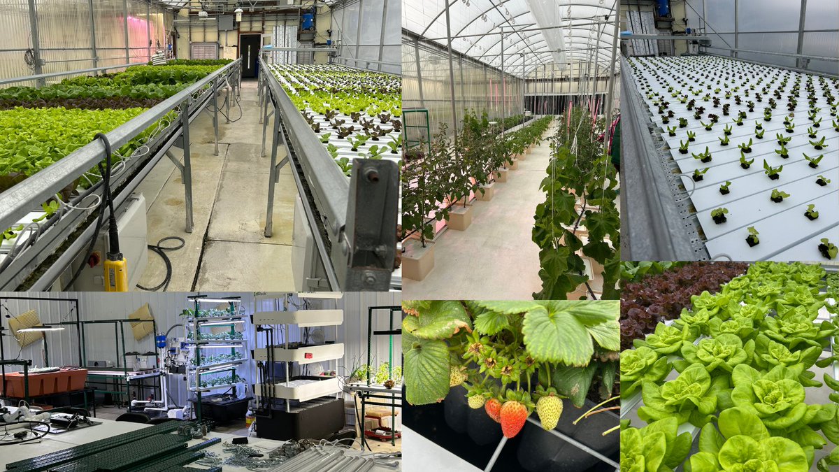 Amanda Sears tweet media