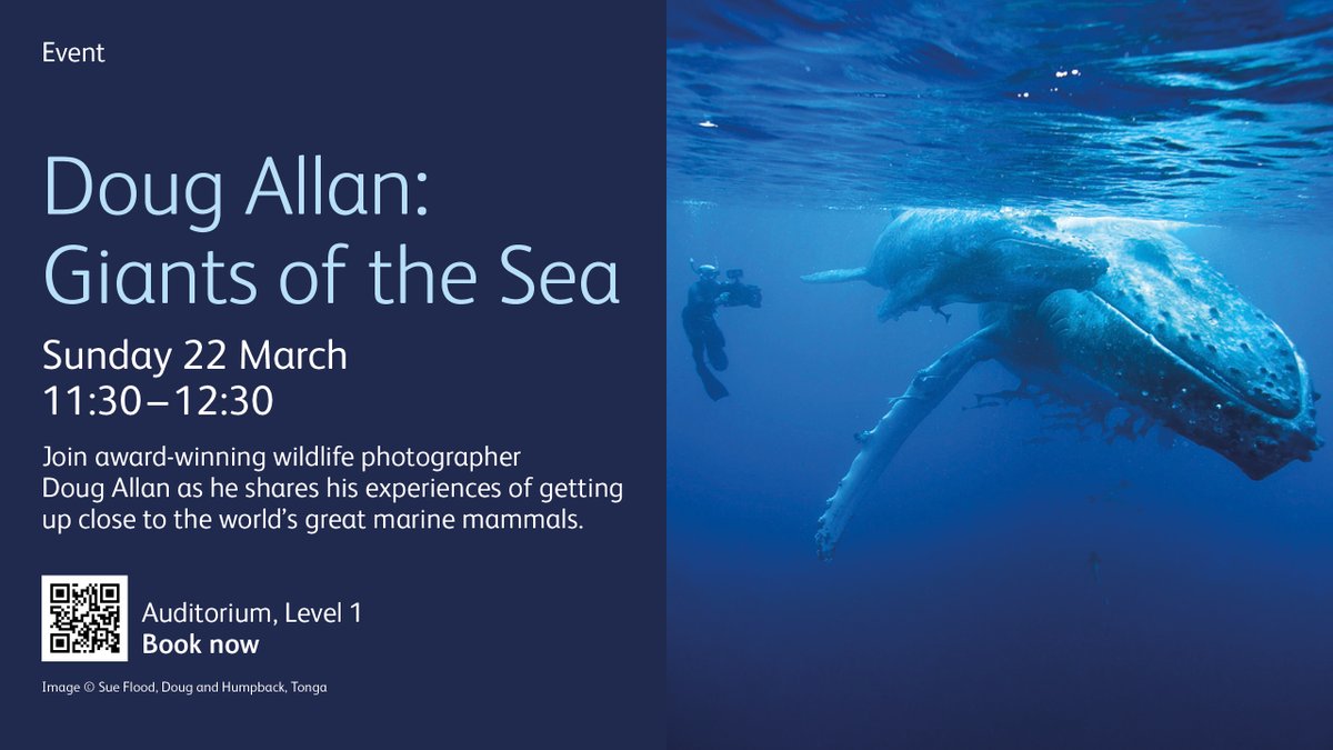 Doug Allan tweet media