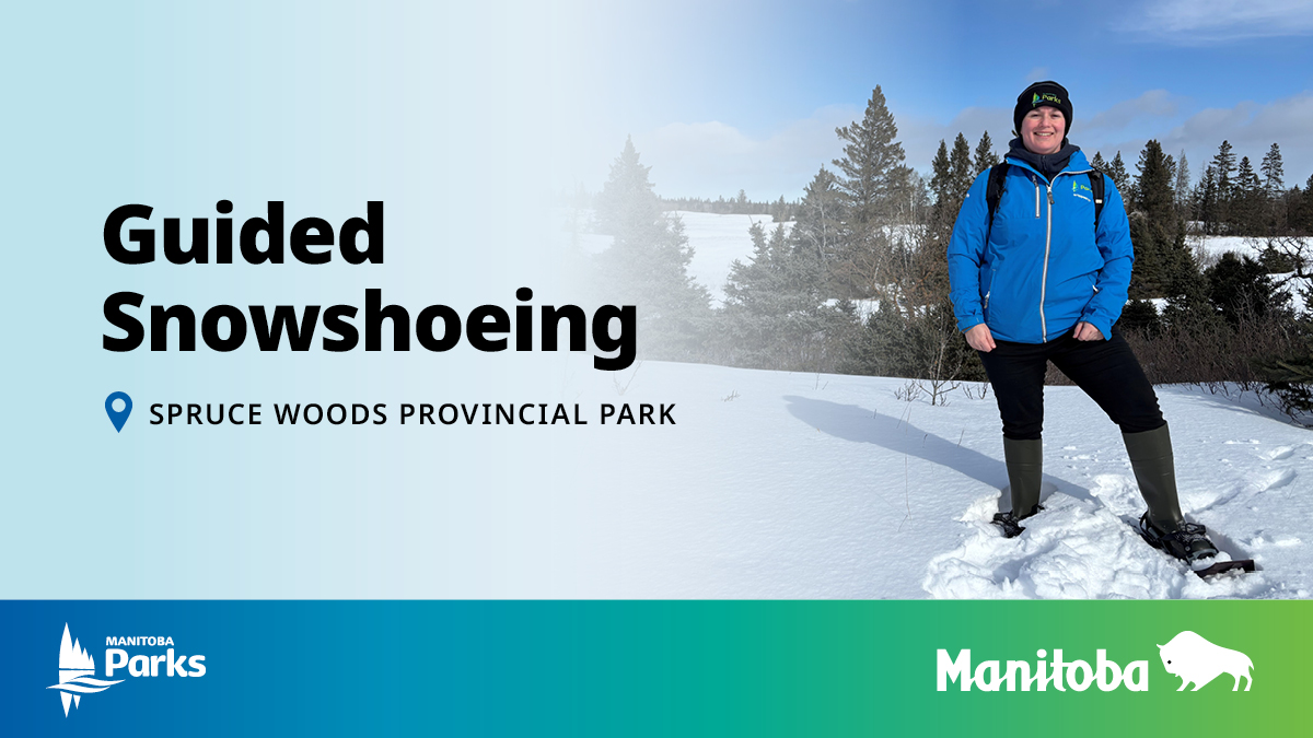 Manitoba Parks tweet media