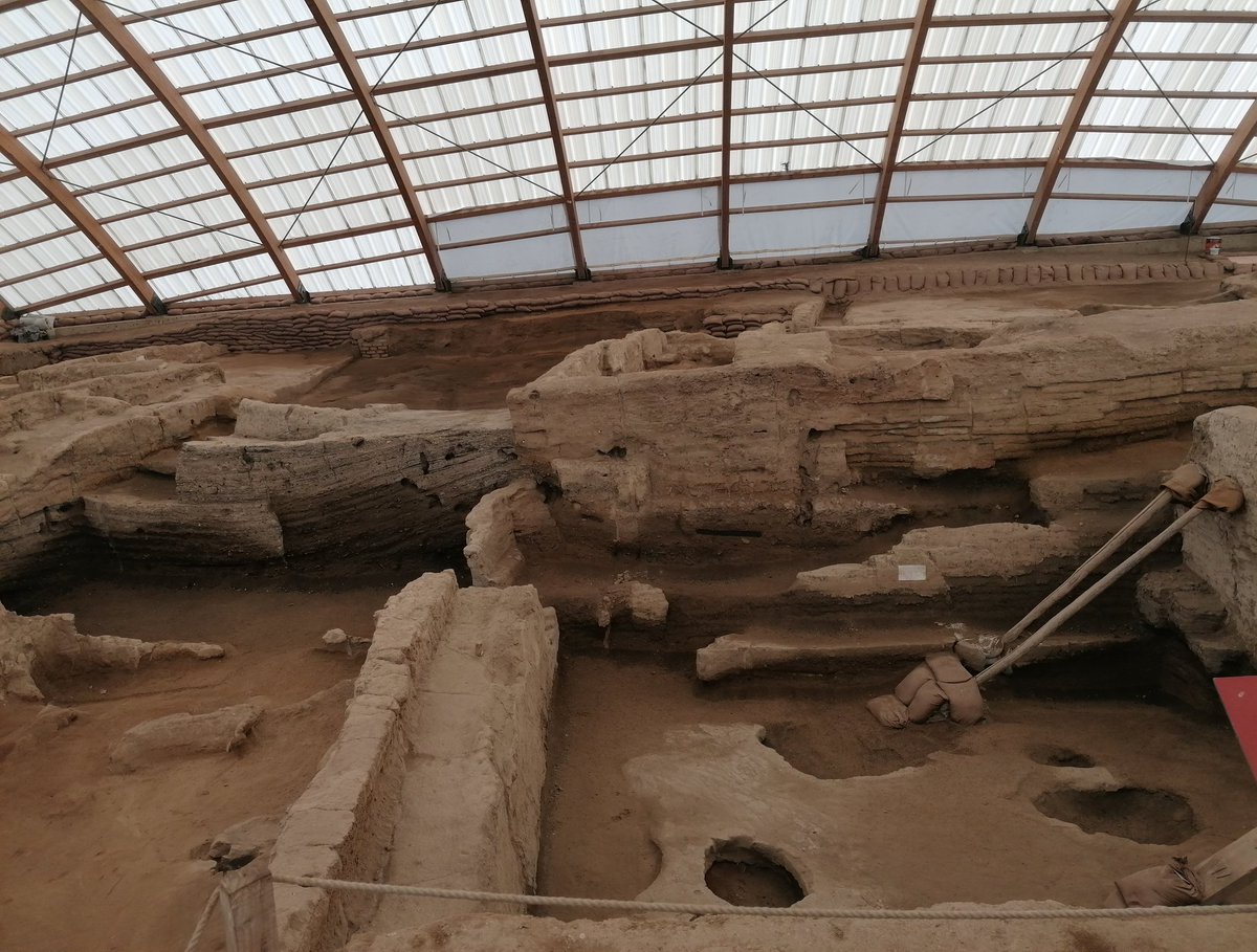 Verimay🍁 tweet media