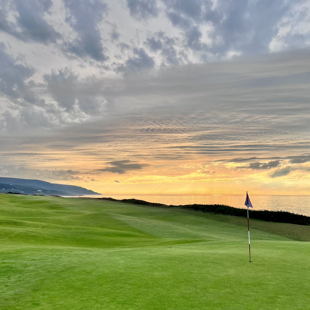 Devereux “bird dog” Emmet tweet media