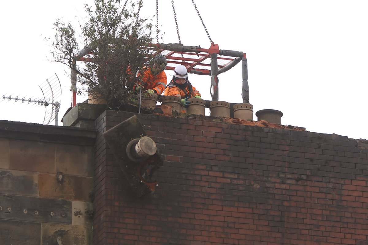 colin mearns tweet media