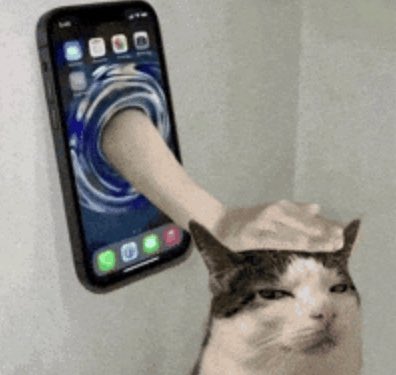 VIRALQUESTVQ tweet media