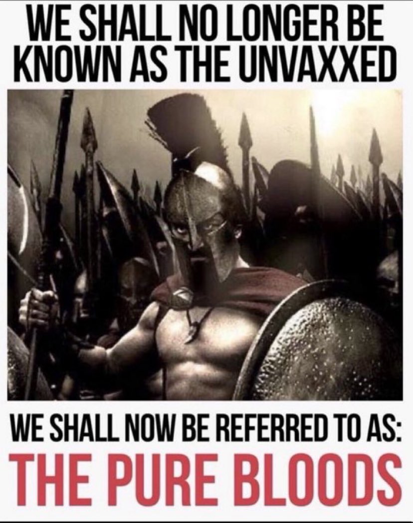 Mama Mia tweet media