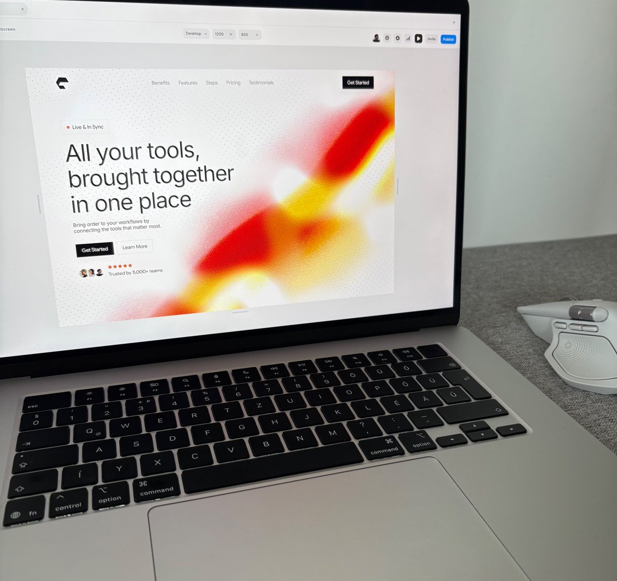 Peter Design tweet media