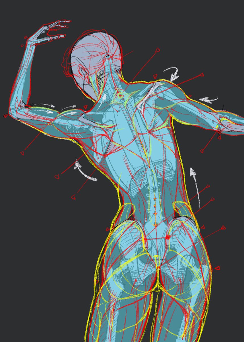 畳@atelier Loop tweet media