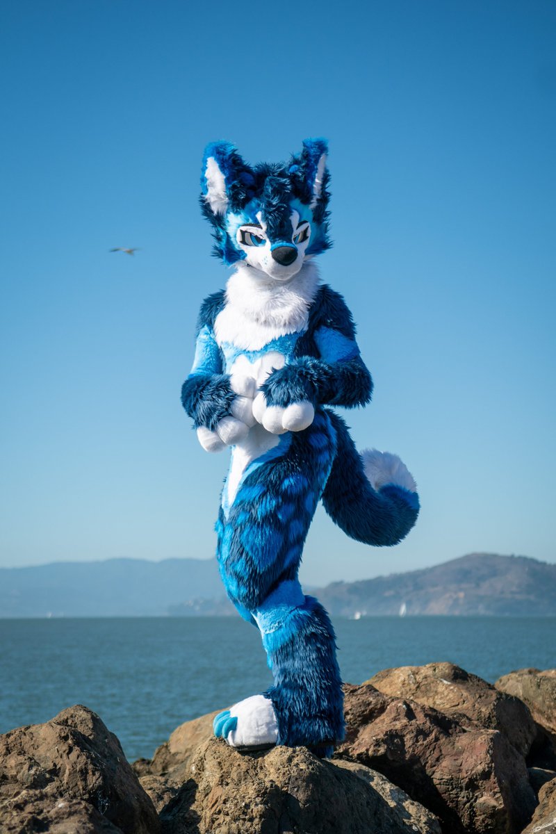 SkeelsPubby tweet media