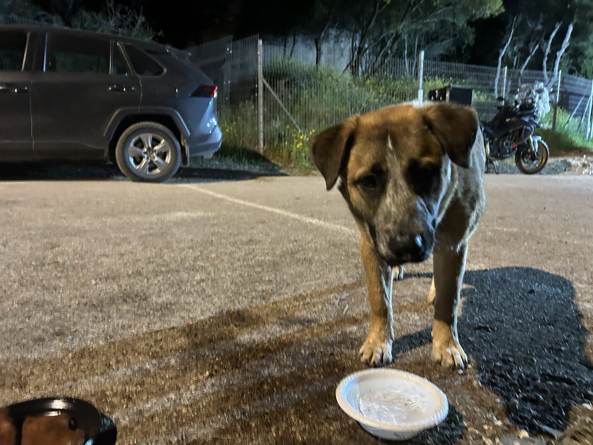 הבית״רי tweet media