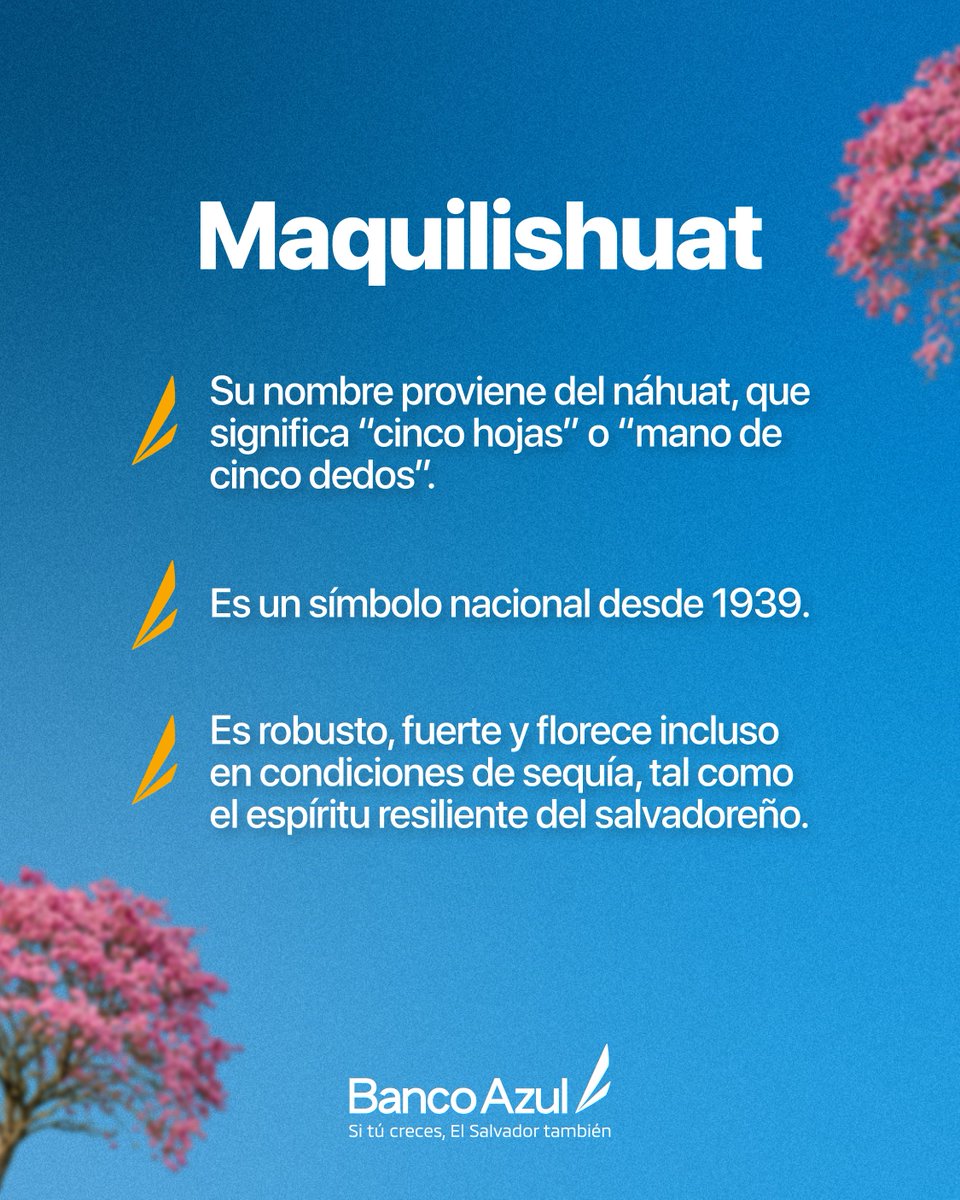 banco_azul tweet media