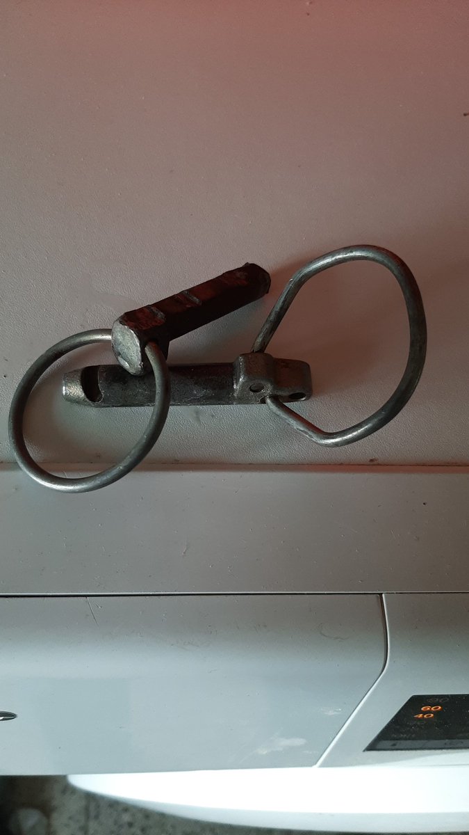 Ingrid Freudenthaler tweet media