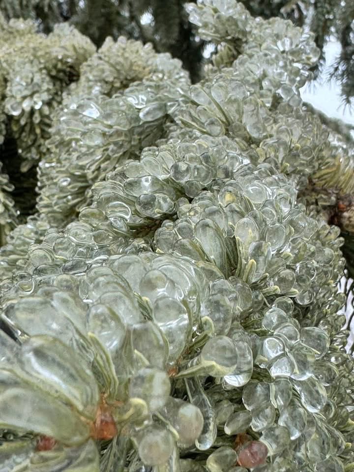 NFTignition.eth 🍌 tweet media