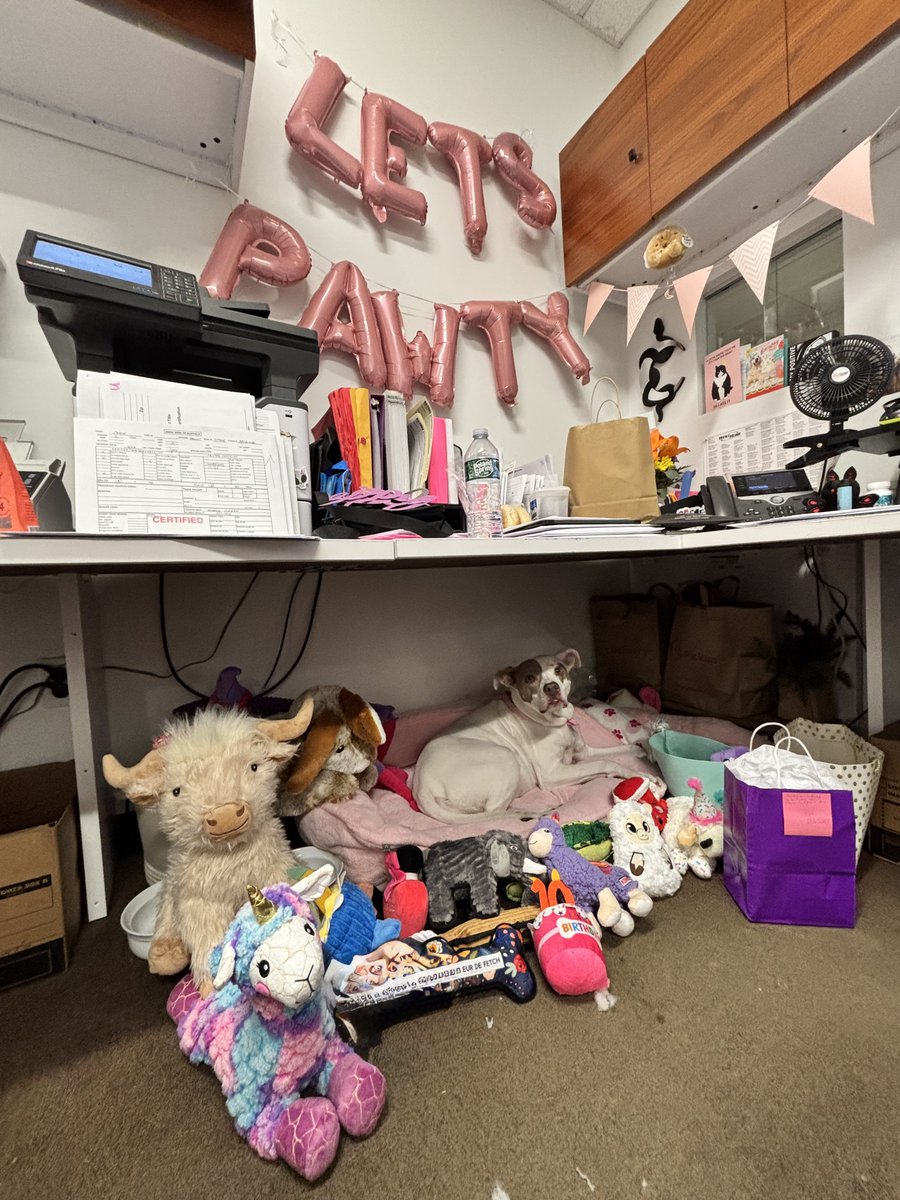 West Herr Auto Group tweet media