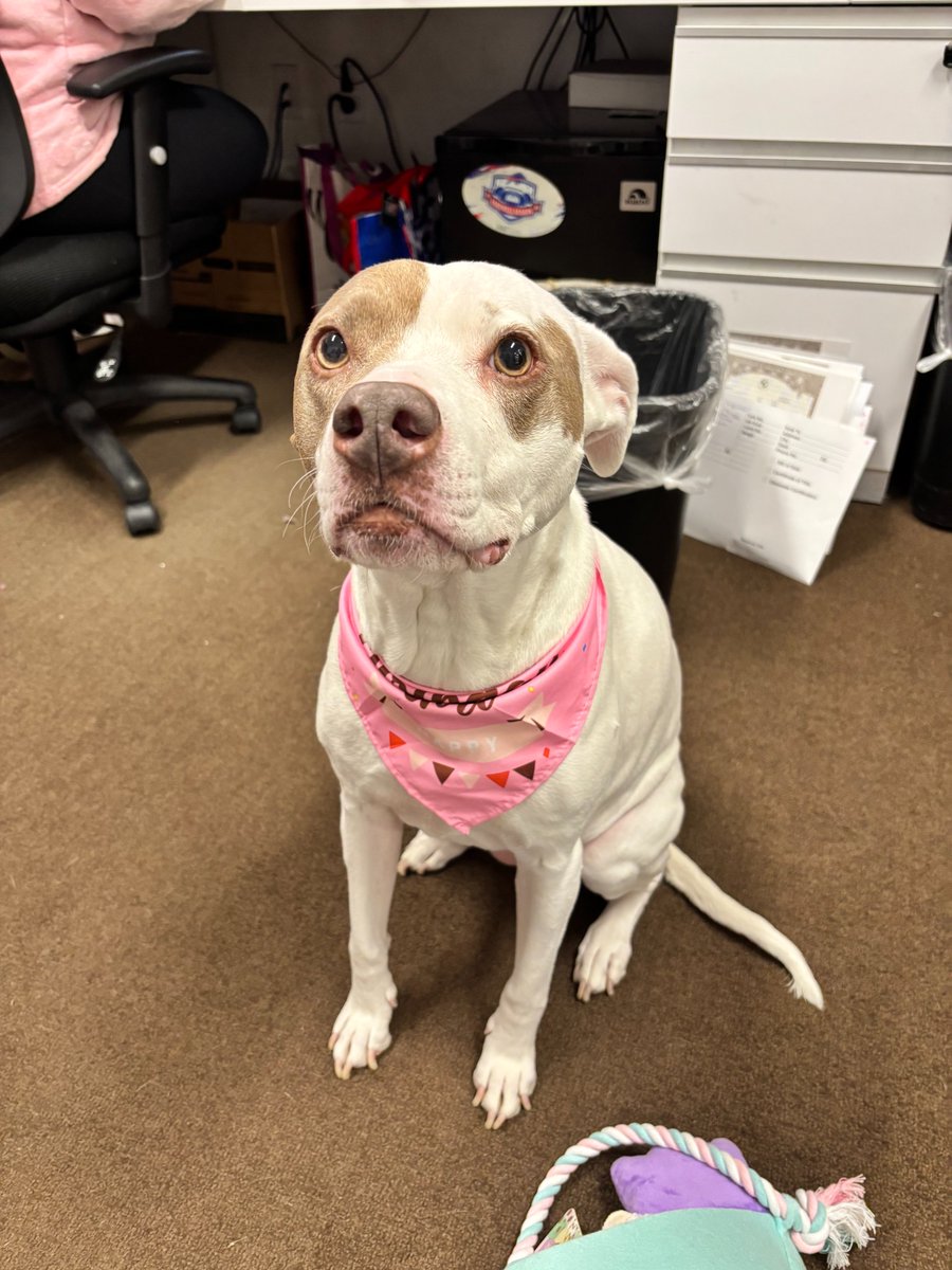 West Herr Auto Group tweet media