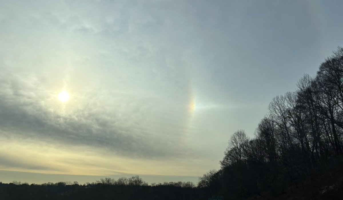 Andrea Verosko tweet media