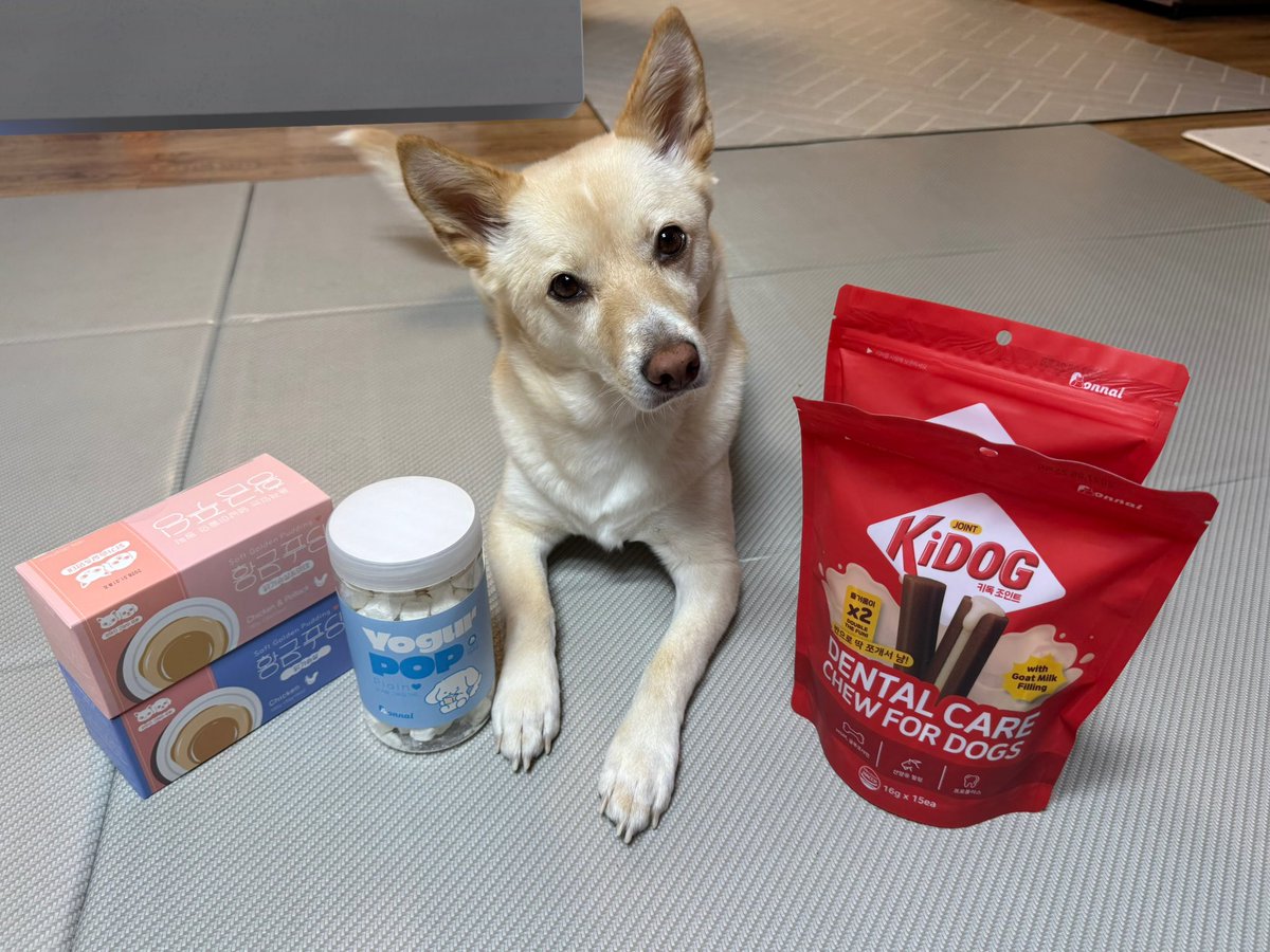 맨날 밥투정 부리고 깨작깨작 먹는 강아지 뭐 예쁘다고 간식 사주네 (큰언니 당사자성 발언)