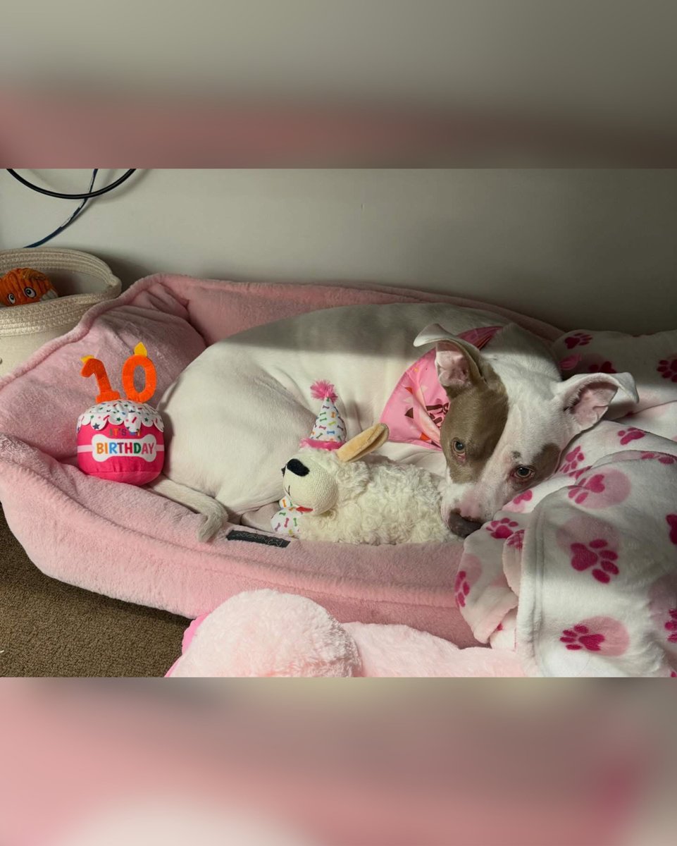 West Herr Auto Group tweet media