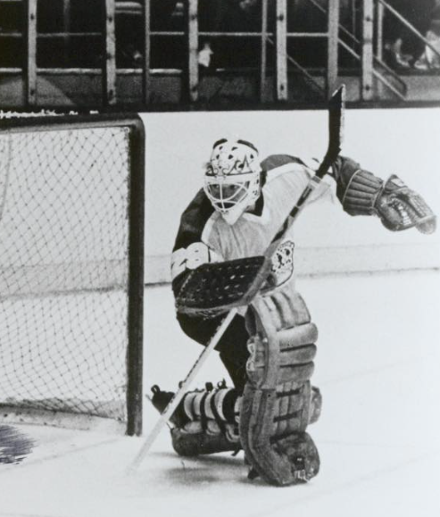 Vintage Hockey Showcase tweet media