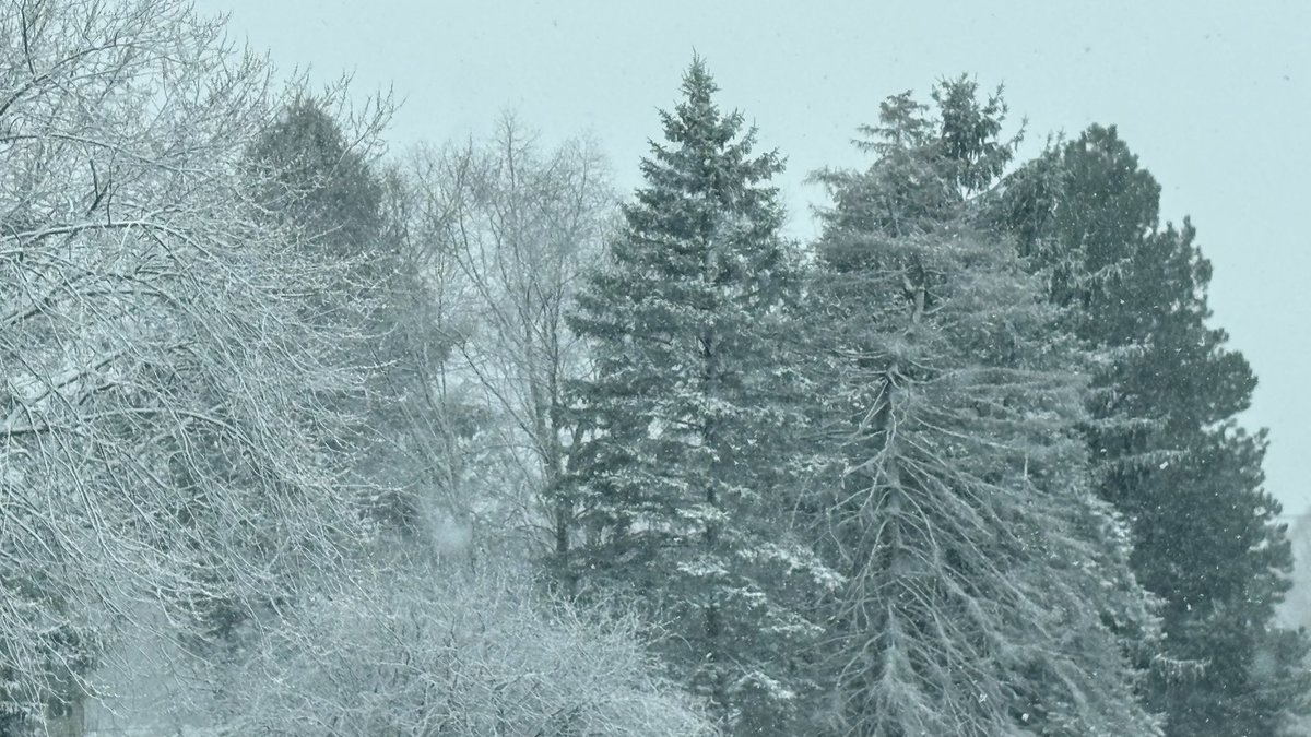 Ben Spath tweet media