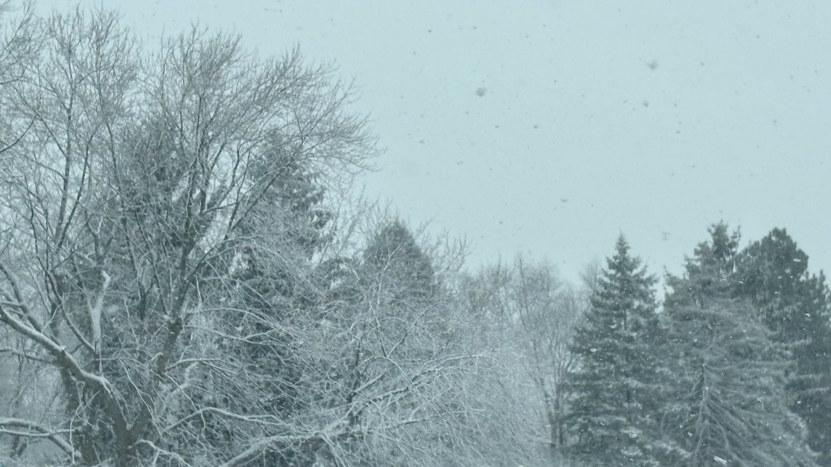 Ben Spath tweet media