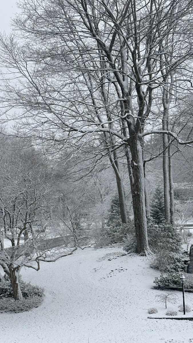 Ben Spath tweet media