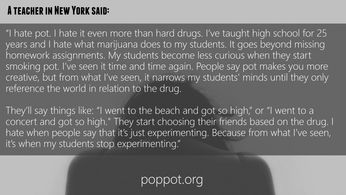 PopPot NY tweet media