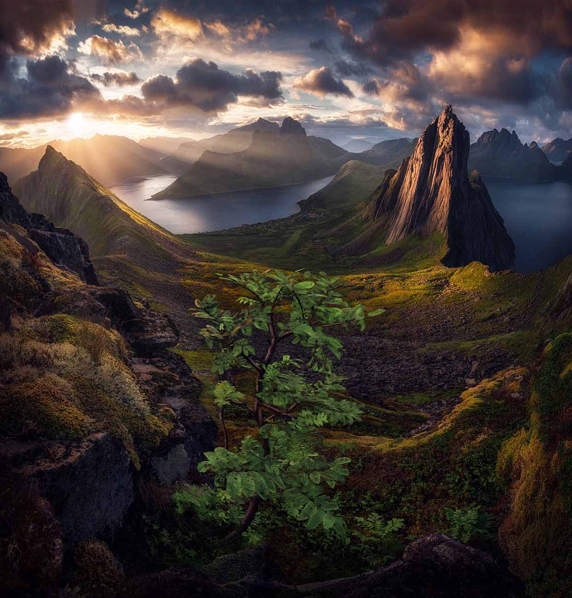 📷P203
📍Senja, Norway

One word for this place?
#Norway #Travel #Earth