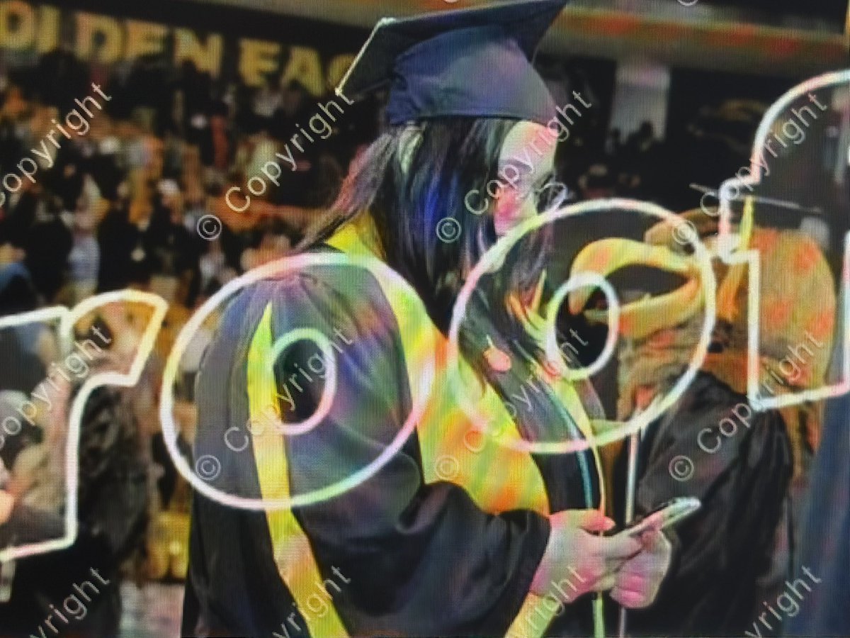 Sunshine tweet media