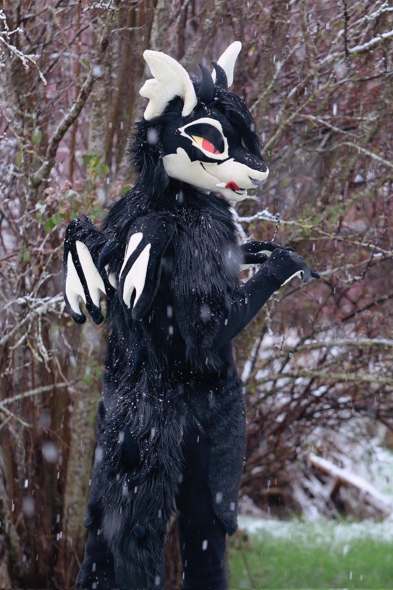 🔥🜏 𝔓𝔢𝔩𝔷𝔦 🜏🔥 🔜 LVFC tweet media