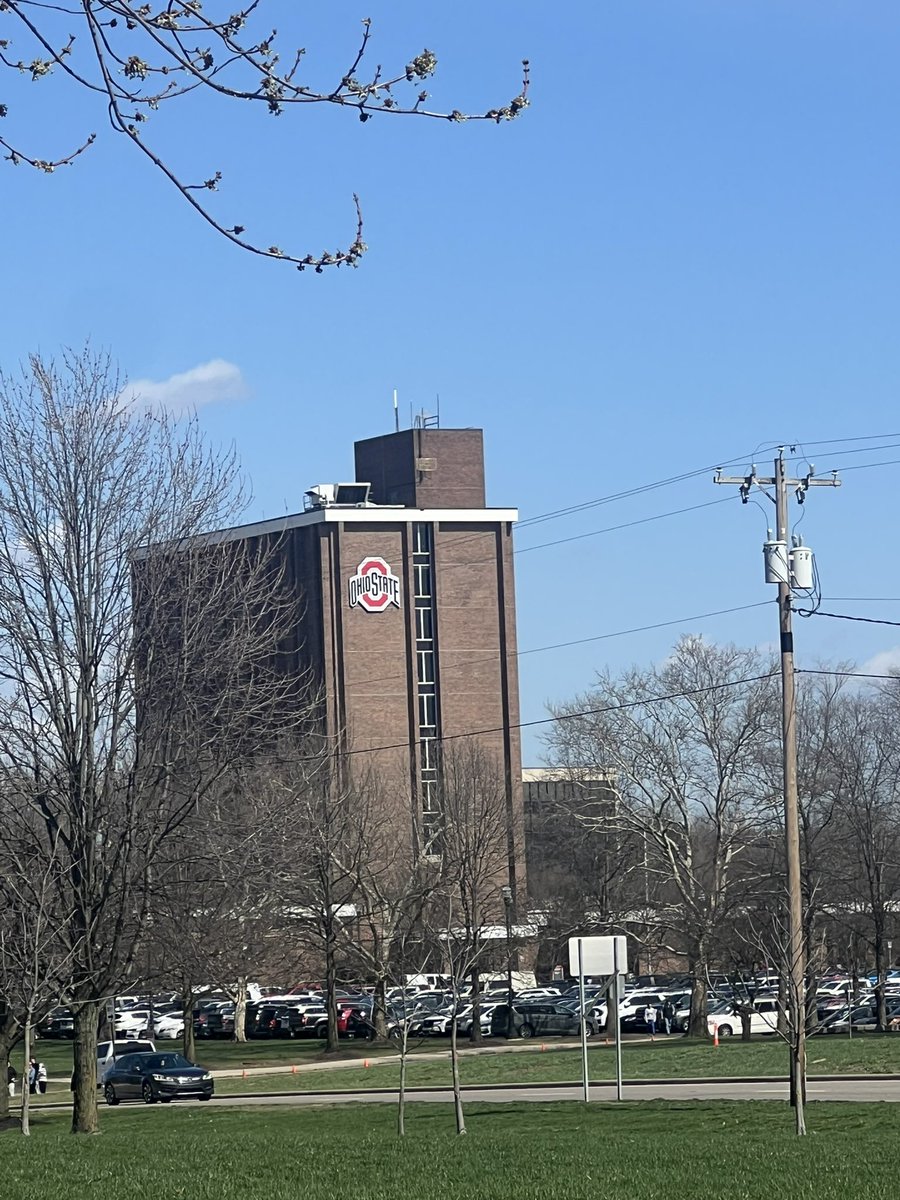 Michael King tweet media