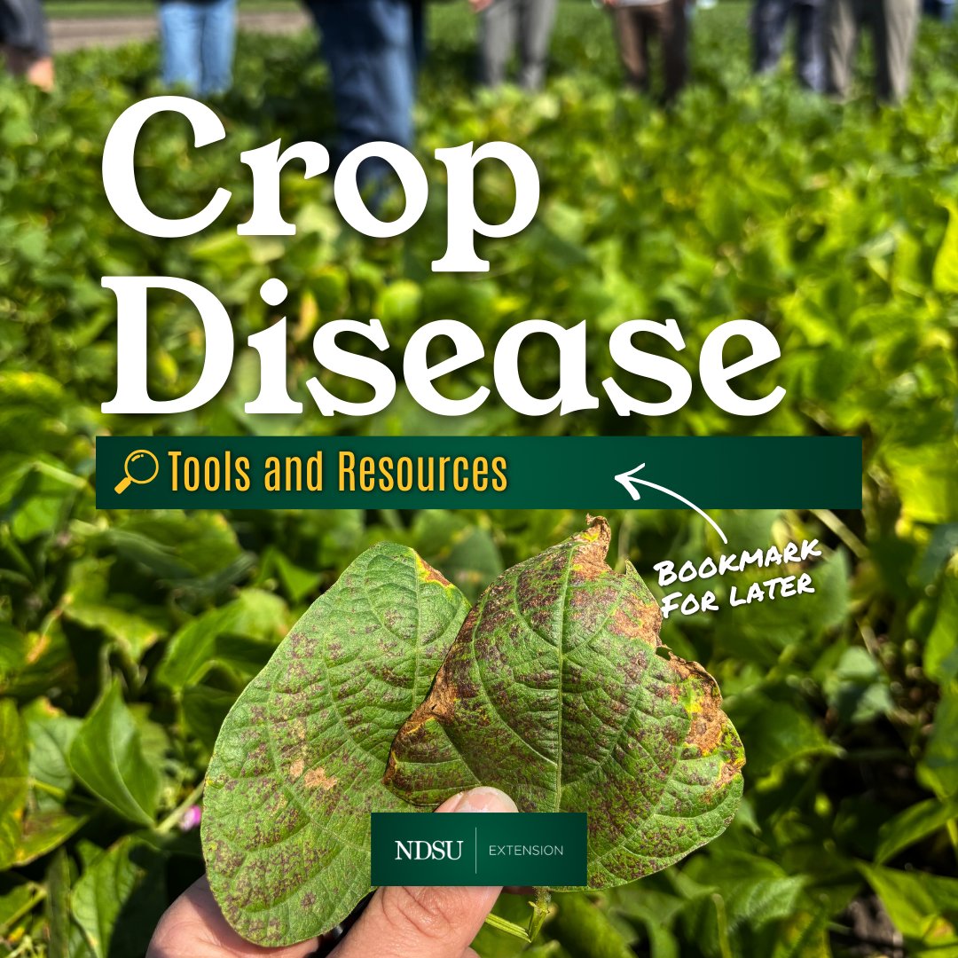 NDSU Extension tweet media