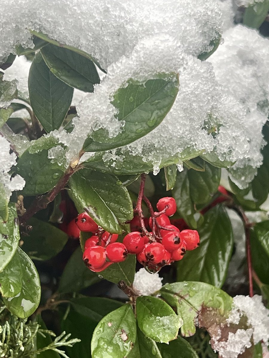 i8ipod's tweet photo. @KSeattleWeather SeaTac https://t.co/vWmBYKooXs