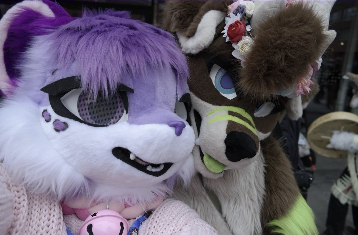 Kani the snowi tweet media